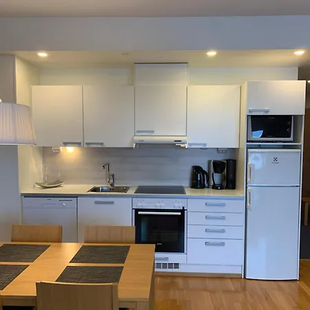 Ruka 1304 High Quality Apartment