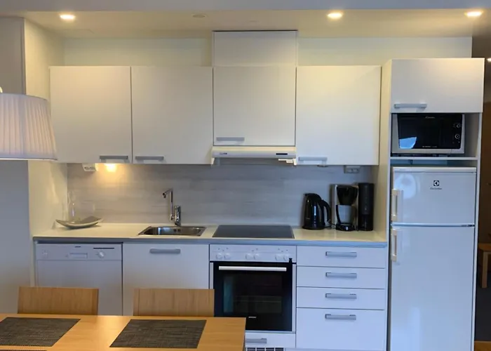 Ruka 1304 High Quality Appartement